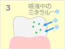 フッ素塗布の流れ3